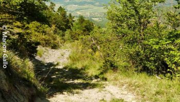 30756410-diaporama