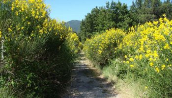 30757166-diaporama