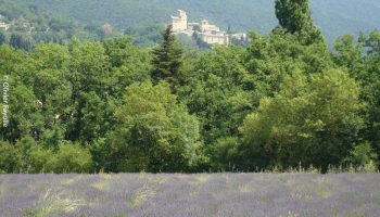 30757277-diaporama
