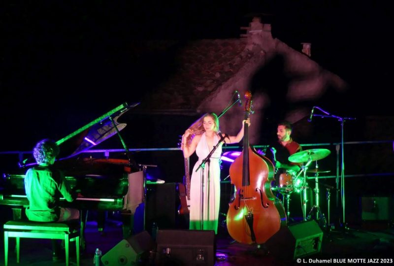 Blue Motte Jazz Festival à La Motte-Chalancon - 11