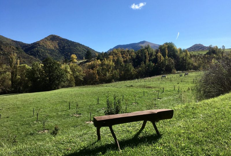 Les Marroux à Bouvières - 17