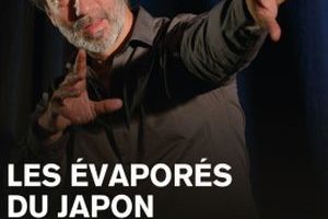 31864387-diaporama