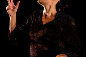 31864650-diaporama