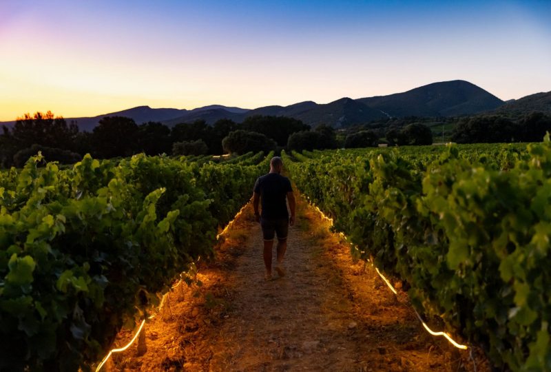 Entre Vignes et Lumières à Rousset-les-Vignes - 0