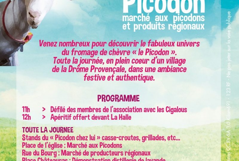 Fête du Picodon à Dieulefit :  marché aux picodons et produits régionaux à Dieulefit - 1