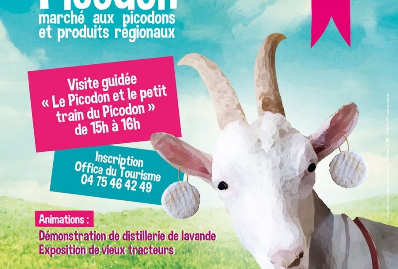 Fête du Picodon à Dieulefit :  marché aux picodons et produits régionaux à Dieulefit - 0