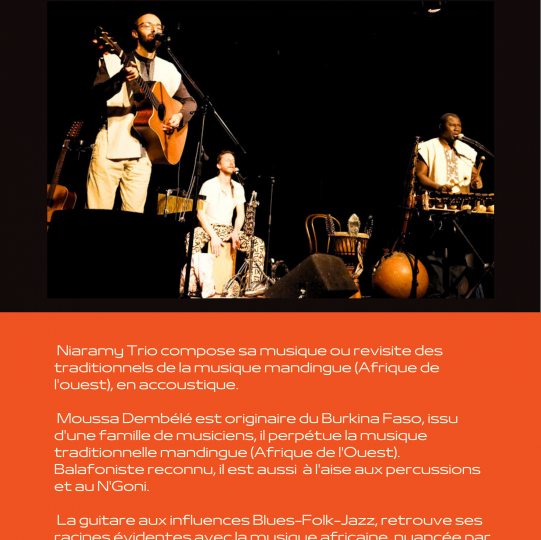 NYARAMI TRIO à Roche-Saint-Secret-Béconne - 1