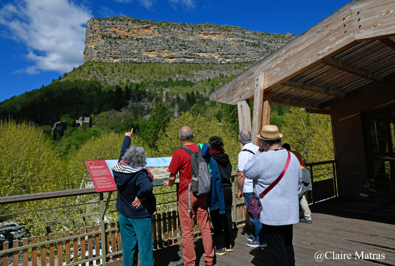 Vultures Museum à Rémuzat - 1