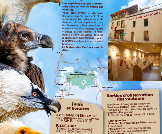 Vultures Museum à Rémuzat - 3