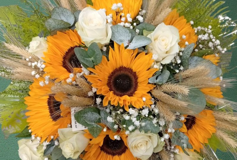 1 Brin 2 Folie à Dieulefit - 0