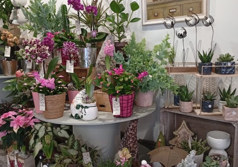 1 Brin 2 Folie à Dieulefit - 4