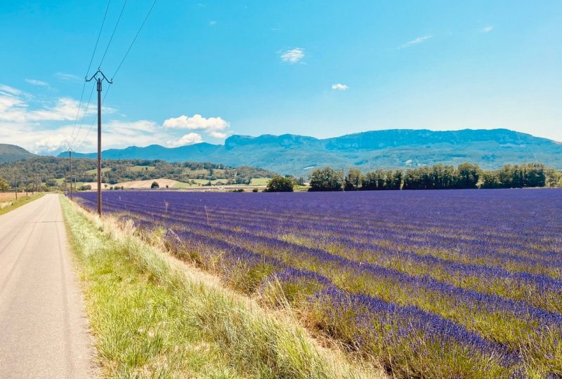 Restaurant Sur La Place à Rochebaudin - 4