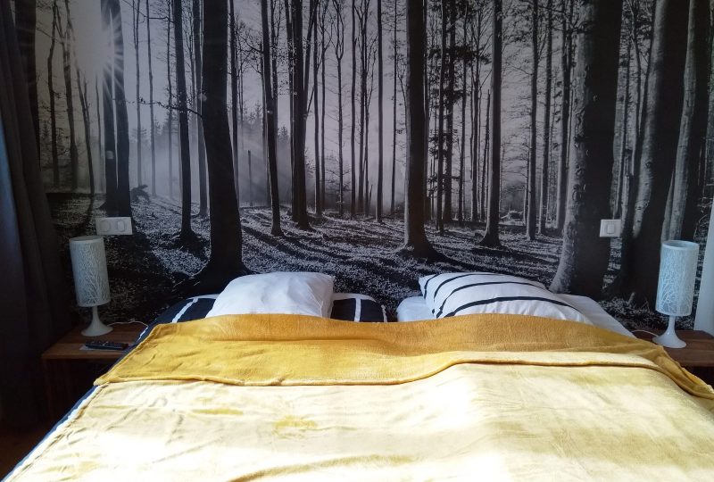 L’ermitage du Grand Bois à Le Poët-Célard - 3