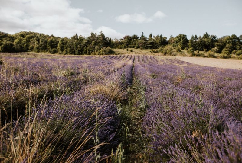 Les Nuits du Taris une maison pour se retrouver à Bourdeaux - 21