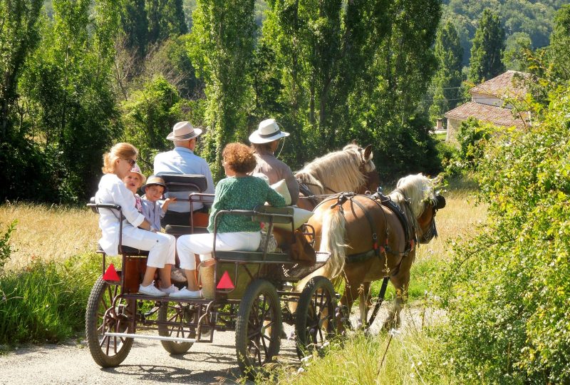 Attelage : roulotte itinérante et balade en calèche à Le Poët-Célard - 0