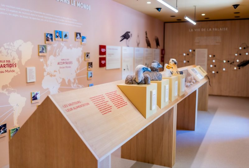 Vultures Museum à Rémuzat - 0