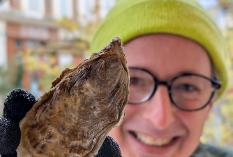 Bar à huîtres à Dieulefit - 0