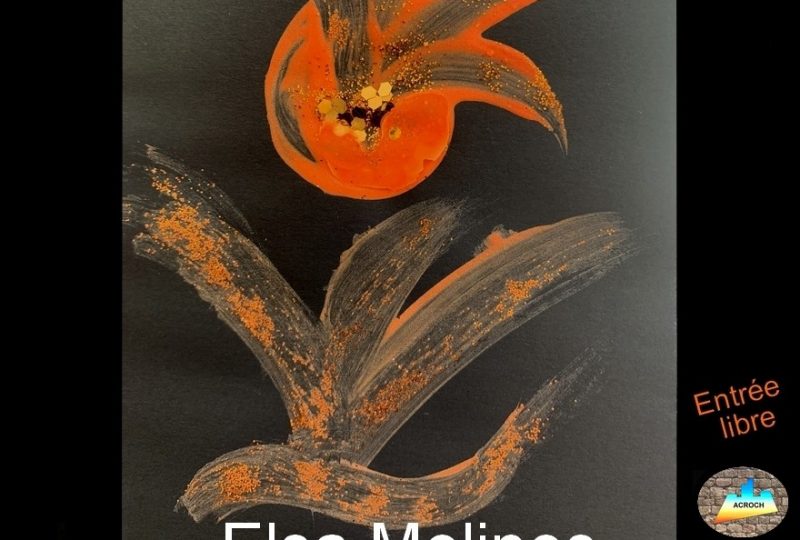 Exposition d’Elsa Molines à Rochefort-en-Valdaine - 0