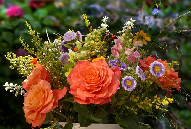 MADAME DOROTHEE ABRAM à Le Poët-Laval - 0