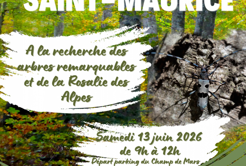 A la recherche des arbres remarquables & de la Rosalie des Alpes à Dieulefit - 0