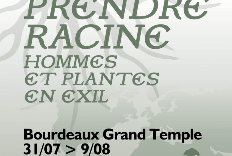 Nouvelles du conte – Exposition  : Prendre Racine à Bourdeaux - 0