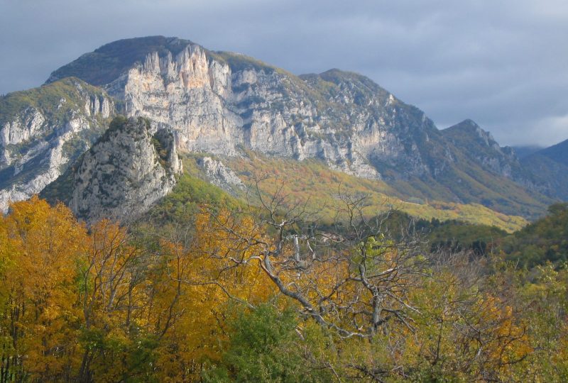 Du Petit au Grand Pomerolle à Saou - 2