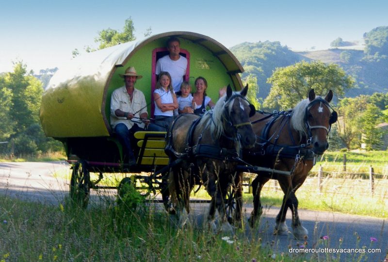 “Grain of bohemia” 2 days and 1 nigth in a horse drawn caravan à Le Poët-Célard - 1