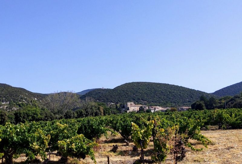 Domaine de La Bouvaude à Rousset-les-Vignes - 2