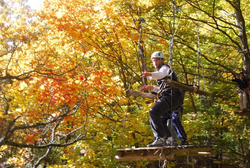 Tree climbing, archery and paintball – Acro Pôle Aventure à Comps - 0