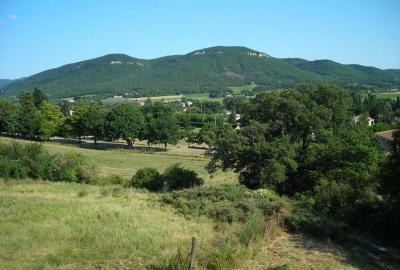 Le Mas au Pigeonnier à La Bégude-de-Mazenc - 2