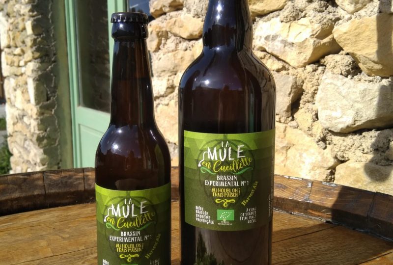 Brasserie la Vieille Mule à Le Poët-Laval - 6