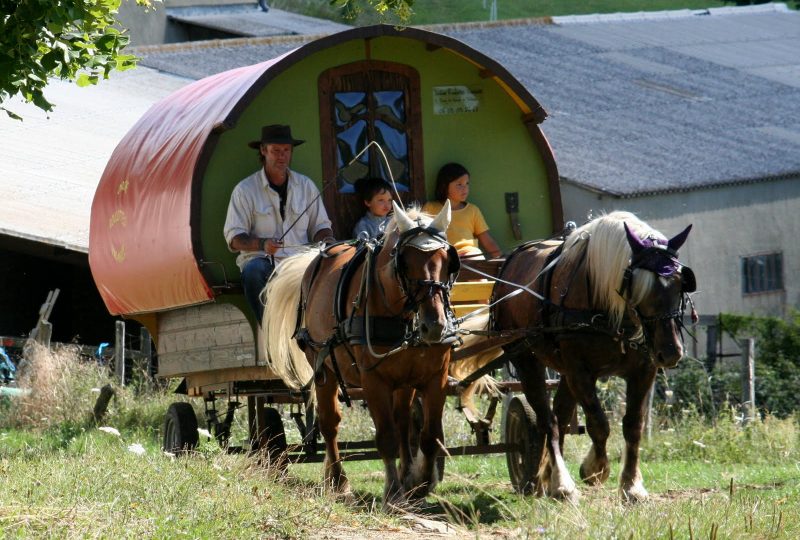 Circuit en roulotte en famil le dans le pays de Dieulefit-Bourdeaux et forët de Saouu à Le Poët-Célard - 3