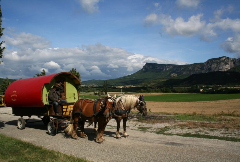 Circuit en roulotte en famil le dans le pays de Dieulefit-Bourdeaux et forët de Saouu à Le Poët-Célard - 5