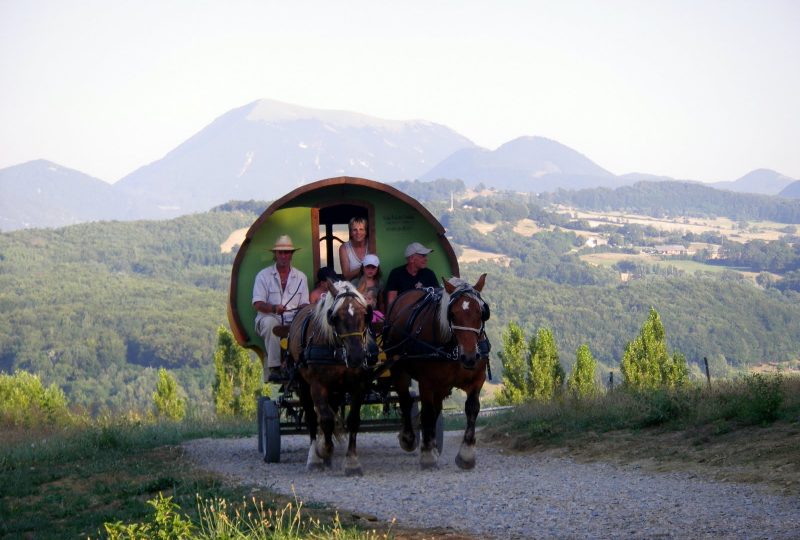 Circuit en roulotte en famil le dans le pays de Dieulefit-Bourdeaux et forët de Saouu à Le Poët-Célard - 6