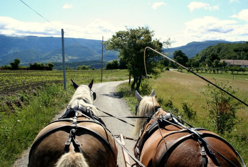 Circuit en roulotte en famil le dans le pays de Dieulefit-Bourdeaux et forët de Saouu à Le Poët-Célard - 7