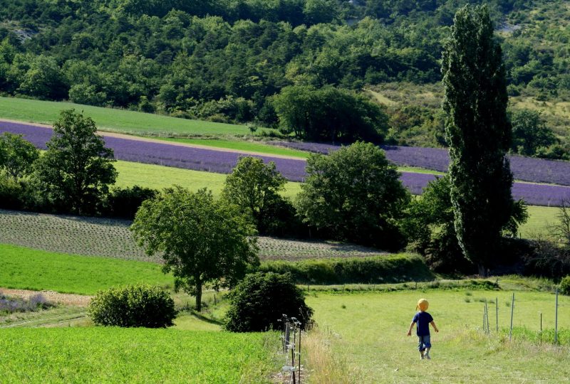 Circuit en roulotte en famil le dans le pays de Dieulefit-Bourdeaux et forët de Saouu à Le Poët-Célard - 9
