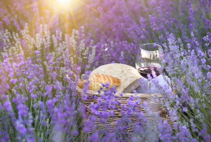 Sumptuous picnic surrounded by lavender – L’Essentiel de Lavande à La Bégude-de-Mazenc - 2