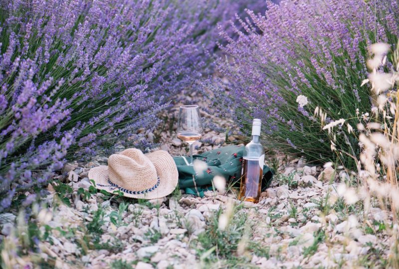 Sumptuous picnic surrounded by lavender – L’Essentiel de Lavande à La Bégude-de-Mazenc - 4