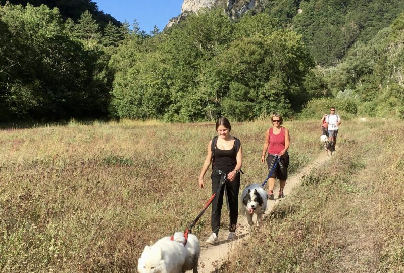 Les ExtraPattes – Cani-rando à Le Poët-Célard - 0