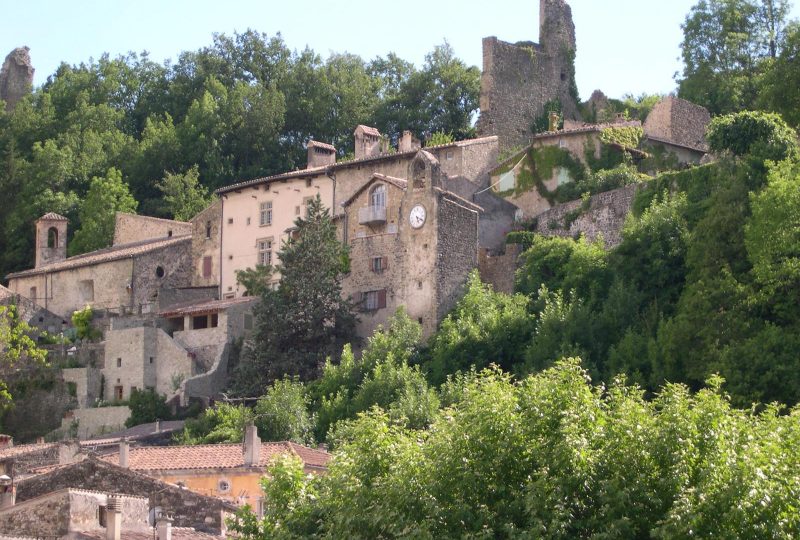 Visite guidée de la Viale de Bourdeaux à Bourdeaux - 0