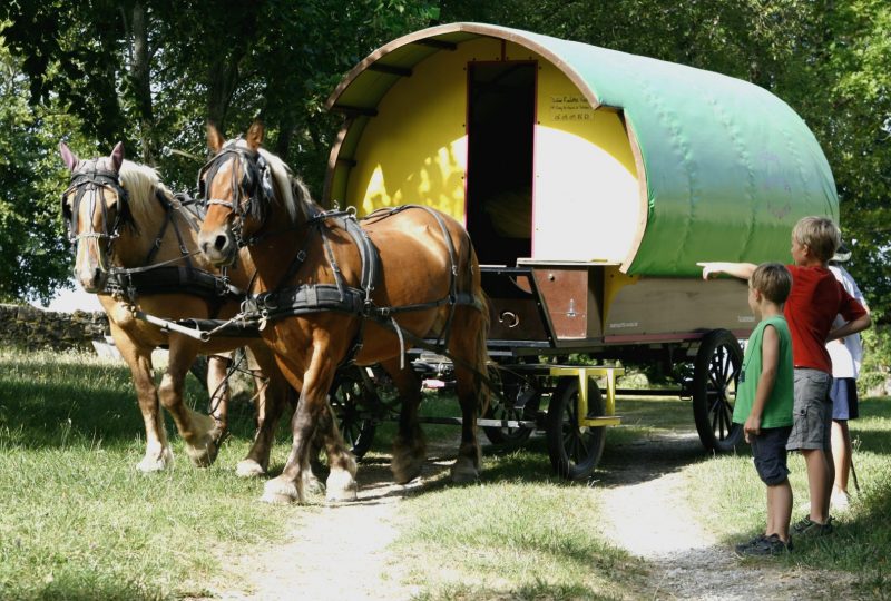 Your holidays in a horse-drawn caravan à Le Poët-Célard - 1