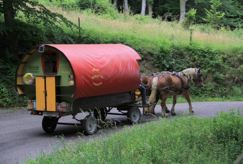 Your holidays in a horse-drawn caravan à Le Poët-Célard - 2