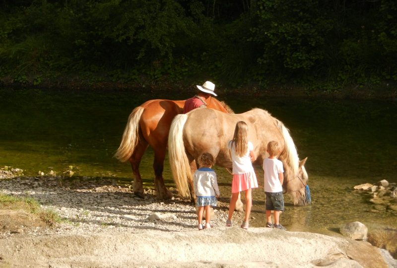 Your holidays in a horse-drawn caravan à Le Poët-Célard - 4