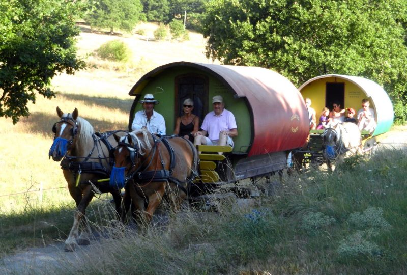 Zigeunervakantie met woonwagen en paardenspan à Le Poët-Célard - 7