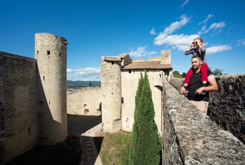 Château de Montélimar à Montélimar - 2