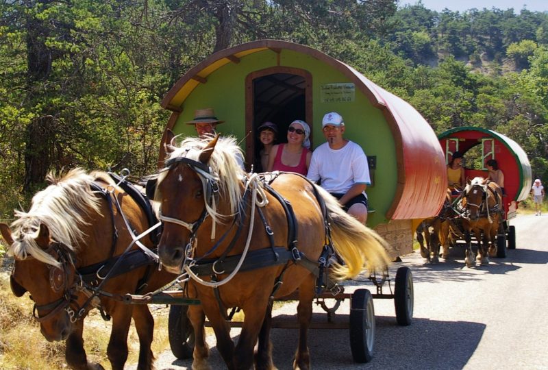 six-day  trip in horse drawn caravane à Le Poët-Célard - 0