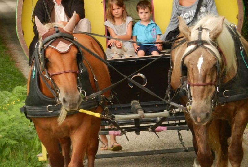 six-day  trip in horse drawn caravane à Le Poët-Célard - 4