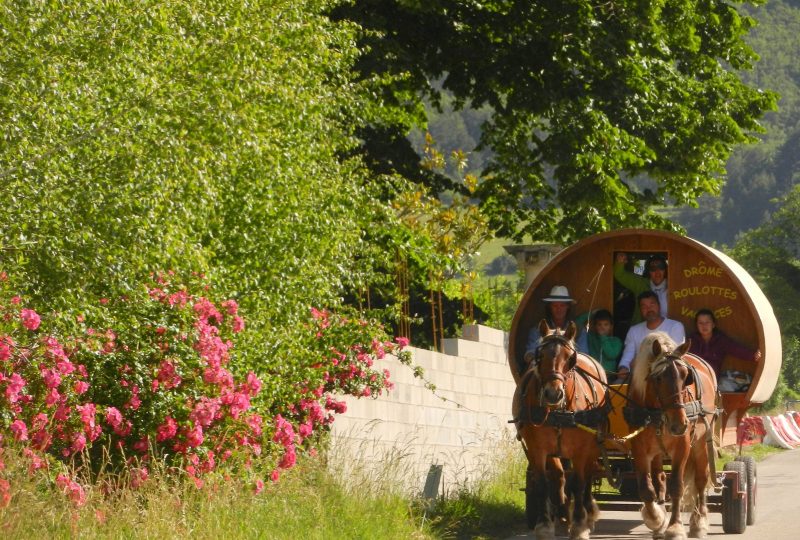 six-day  trip in horse drawn caravane à Le Poët-Célard - 5