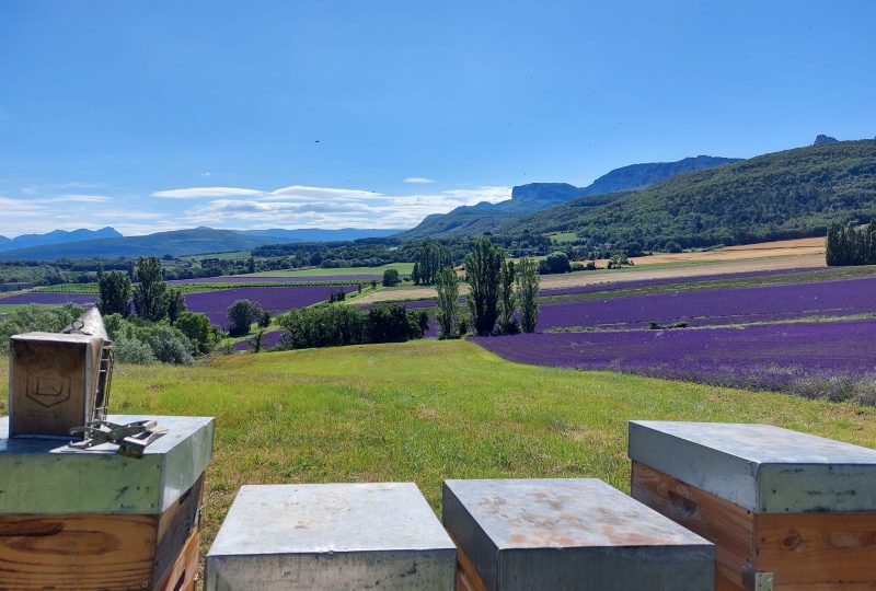 Gaec Les Ruchers de la Valdaine à Souspierre - 0