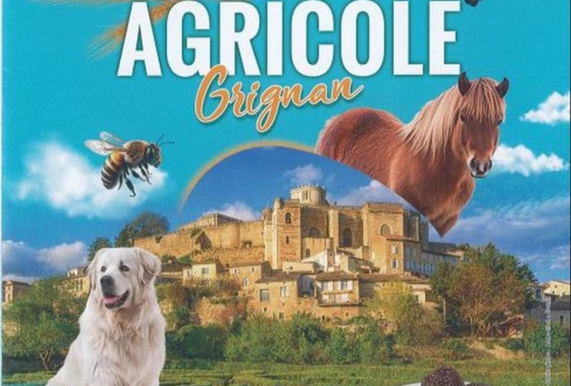 Vide grenier de la foire agricole à Grignan - 0